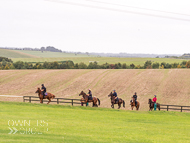 AK300921-29 - Alan King Stable Visit